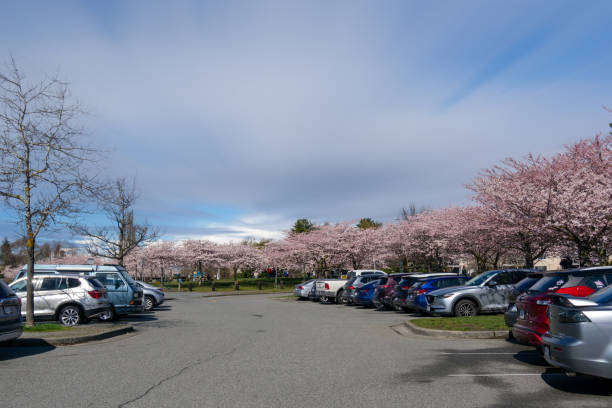 Rowan University college move-out parking and dorms